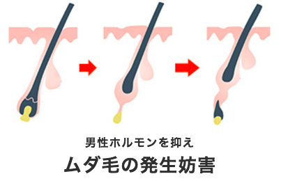 K-OUT口コミ効果なし